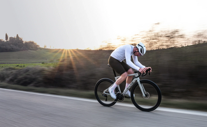 X-LAB RS7