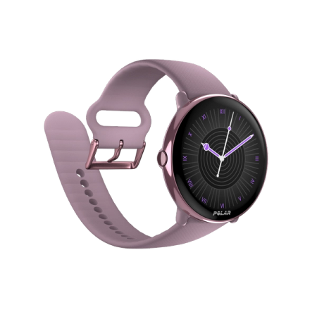 Polar ignite garmin vivoactive 3 discount